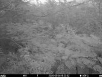 Sep 8 2025 18:00:32, #01
