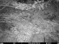 Sep 8 2025 21:00:32, #01
