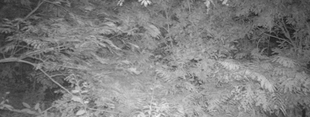 Sep 9 2025  3:00:31, #01