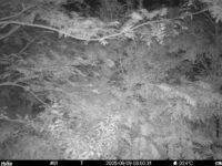 Sep 9 2025  3:00:31, #01