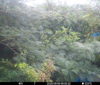Sep 9 2025  6:00:32, #01