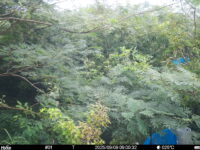 Sep 9 2025  9:00:32, #01
