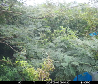 Sep 9 2025  9:00:32, #01
