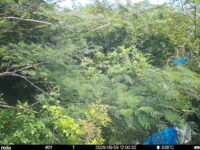 Sep 9 2025 12:00:32, #01