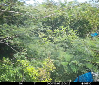 Sep 9 2025 12:00:32, #01