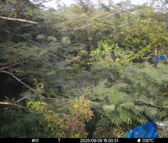 Sep 9 2025 15:00:31, #01