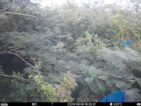 Sep 9 2025 18:00:30, #01
