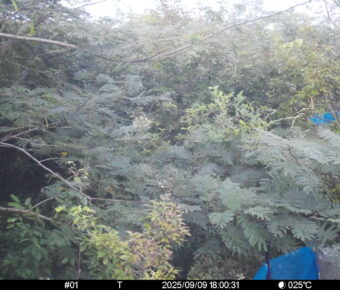 Sep 9 2025 18:00:30, #01