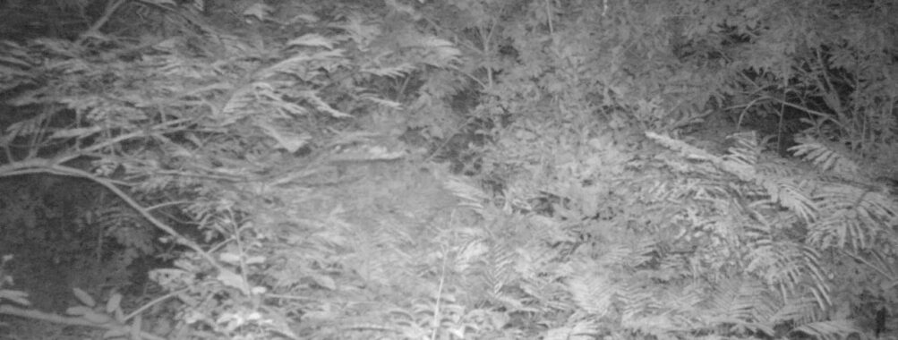 Sep 9 2025 21:00:32, #01