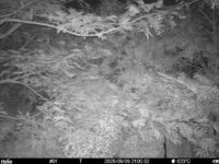 Sep 9 2025 21:00:32, #01