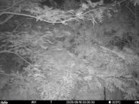 Sep 10 2025  0:00:30, #01