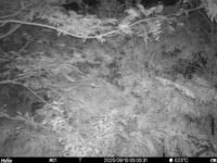 Sep 10 2025  3:00:31, #01