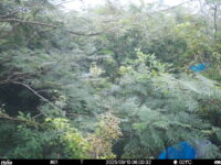 Sep 10 2025  6:00:32, #01