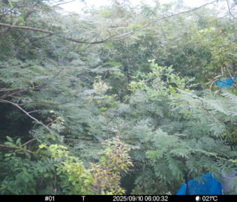 Sep 10 2025  6:00:32, #01