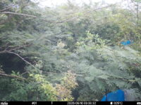 Sep 10 2025  9:00:31, #01