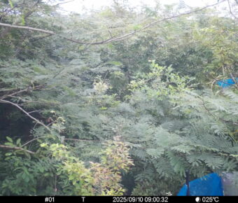 Sep 10 2025  9:00:31, #01