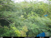 Sep 10 2025 12:00:32, #01