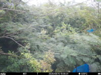 Sep 10 2025 15:00:31, #01