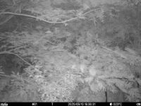 Sep 10 2025 18:00:31, #01