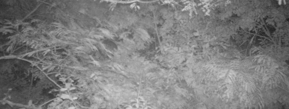 Sep 10 2025 21:00:32, #01