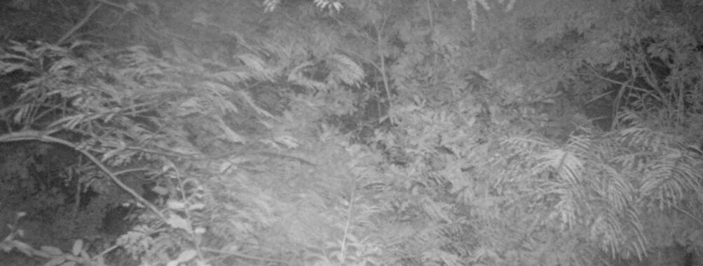 Sep 11 2025  0:00:30, #01