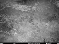 Sep 11 2025  0:00:30, #01