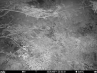 Sep 11 2025  3:00:31, #01