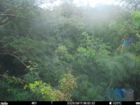 Sep 11 2025  6:00:32, #01