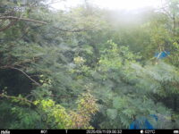 Sep 11 2025  9:00:32, #01
