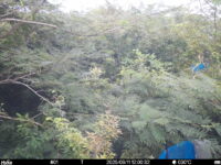 Sep 11 2025 12:00:32, #01
