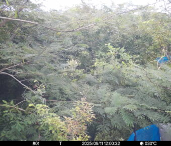 Sep 11 2025 12:00:32, #01