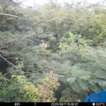 Sep 11 2025 15:00:31, #01