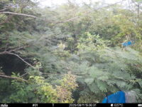 Sep 11 2025 15:00:31, #01