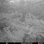 Sep 11 2025 18:00:32, #01