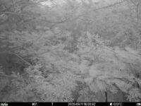 Sep 11 2025 18:00:32, #01