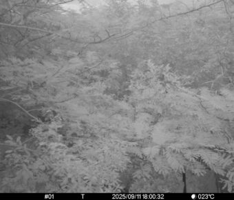 Sep 11 2025 18:00:32, #01