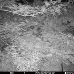 Sep 11 2025 21:00:32, #01