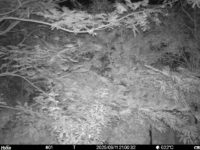 Sep 11 2025 21:00:32, #01