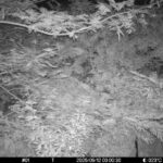 Sep 12 2025  0:00:30, #01