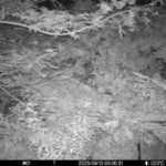 Sep 12 2025  3:00:31, #01
