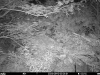 Sep 12 2025  3:00:31, #01