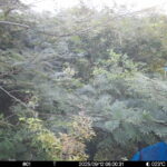 Sep 12 2025  6:00:31, #01