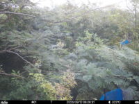 Sep 12 2025  6:00:31, #01