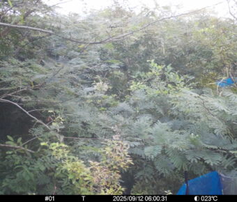 Sep 12 2025  6:00:31, #01
