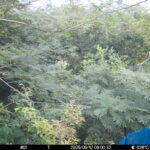 Sep 12 2025  9:00:32, #01