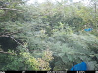 Sep 12 2025  9:00:32, #01