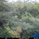 Sep 12 2025 12:00:31, #01