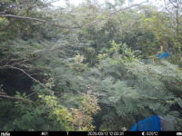 Sep 12 2025 12:00:31, #01