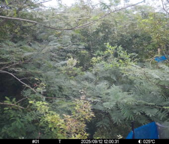 Sep 12 2025 12:00:31, #01