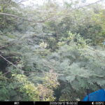 Sep 12 2025 15:00:32, #01